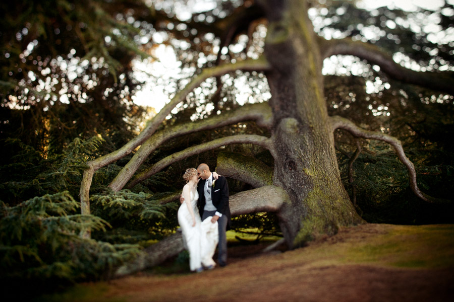 arley hall wedding photographer cheshire